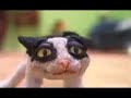 gatito dance