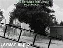 I did you wrong Remix' (The Game,Snoop,Dre) - Laybay mix