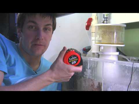 how to adjust protein skimmer