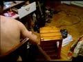pitbull 2005 - Hayvan Videoları