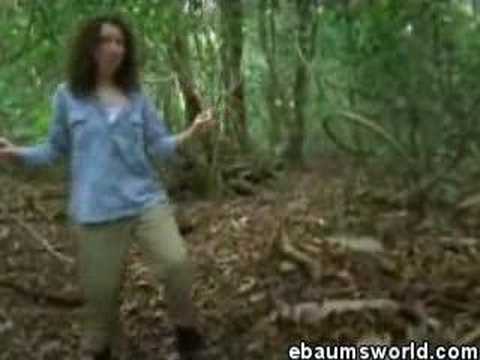 manakin bird moonwalk