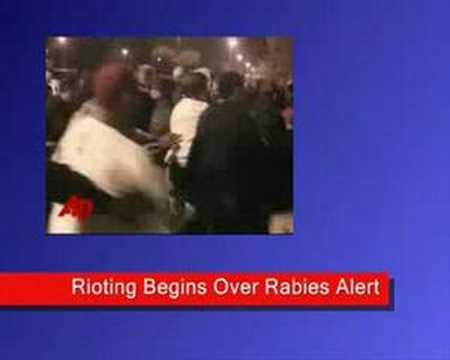 Rabies!!!!!