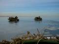 Busting some ice on the way to get some ducks