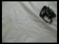 coreografo arturo torres