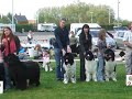 DSCF6074