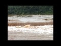 Moolathara dam, a regulator and bridge in Pallakad broke