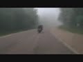 6 MN 16 Fog