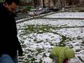 videos de video para la Nonna y Casarin