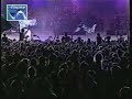 los piojos   arco vivo 