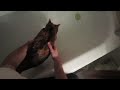 JOJOS BATH