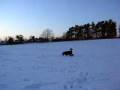 videos de Fröken Smilla