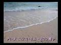 ♪　いまここにいるよ～ヨロン島　♪  Healing Island - YORON