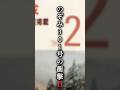 【衝撃の停車駅‼️】かつて存在した、のぞみ301号の時刻表を読む‼️#東海道新幹線#のぞみ301号#300系新幹線#全車指定席#1996年#時刻表