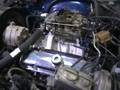 videos de 1977 Firebird Trans Am
