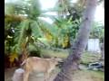 My house is for Hepsi - view1