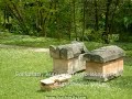 Jajce jucer i danas, a sta ce biti sutra???