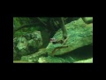 AQUARIUM UPDATE