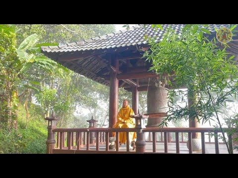 Trình Pháp NIKAYA - Đánh Thức Tâm Mê ! Nhìn Thấu Luân Hồi 2