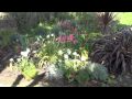 Polhawn Fort Gardens in May 2010