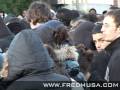 Marche silencieuse ? Villiers le Bel ( fredmusa.com ) Marche silencieuse ? Villiers le Bel ( fredmusa.com )