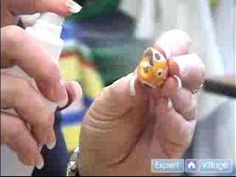 how to provide humidity for hermit crabs