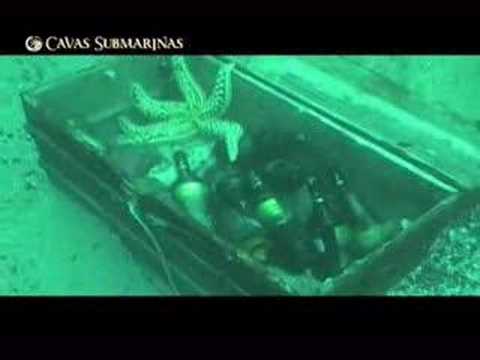 Imagen de previsualización de YouTube