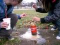Our Science Experiment!!!!