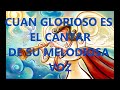 ANGELES CANTANDO ESTAN CON LETRA KARAOKE