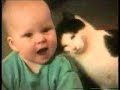 Gatti pazzi