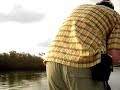 Everglades Tarpon