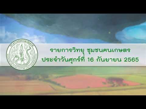 รายการวิทยุชุมชนฅนเกษตร ประจำวันที่ 16 กันยายน 2565