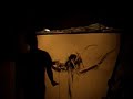 buna(trench warfare) with zero charisma(skam/team doyobi/icasea)