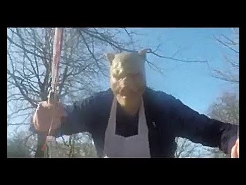 No Animals were Harmed during the Making of this Film | Bardsea-Green Films