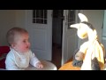Maggie Moo and the dancing horse