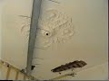 This small portrait of a carpenter & friend, was also made as homework for my OOG TV course in 2000. Camerawoman was Gitta (obviously not yet on a Betacam!).- Also watch Tourette RTV! -