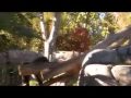 MOV033