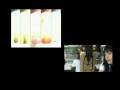 videos de SENTAI-THAILAND ON TV ACT.1