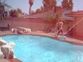 Jason diving ( Special Guest !!! )