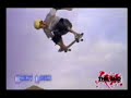 Skate los majores bucky lasek tony howk steve