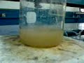 belousov-zhabotinsky reaction