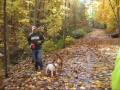 Tandeming the Treadway Creek Trail