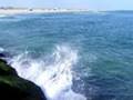 mullett in da surf zone..trapped by jetty