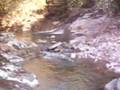 Aguas Minerales en Tamazulapam