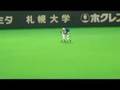 2007年日本シリーズ第2戦 試合前 BB対ドアラ 競歩競争