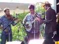Bromberg w/ a 'Punchy' version of Ian Tyson's 'Summer Wages'