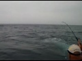 Mon-Ami Marlin-MPEG-1 .mpg