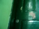 a guerrinha na escola lucio dos santos da 6 serie