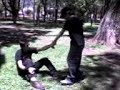 un dia mas de estupideses - joterias del reno