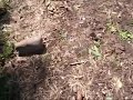 Coonkiller92\ Coonkiller92\