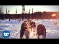 Portugal.The Man - So American (New Music)